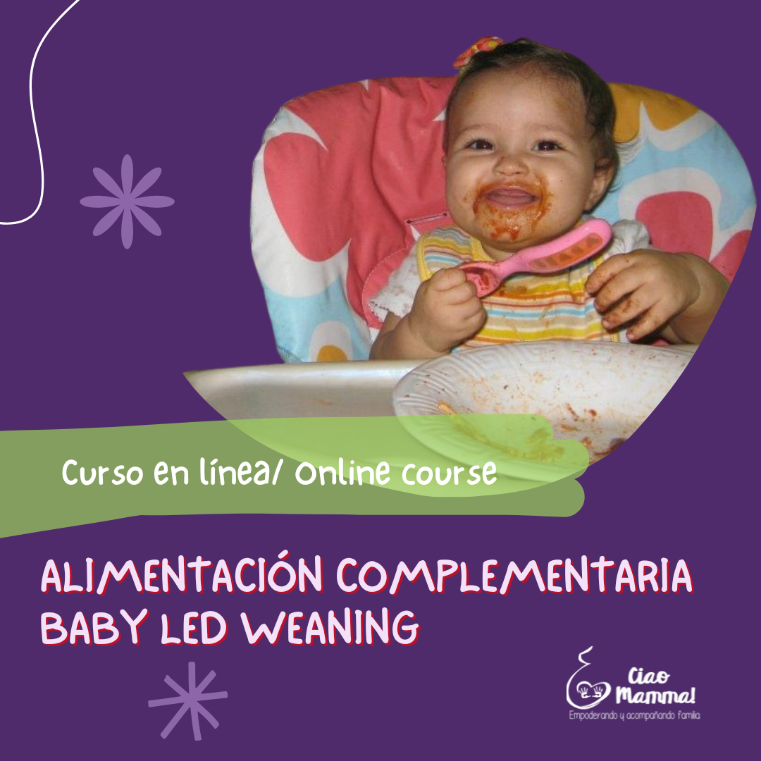 Alimentación complementaria