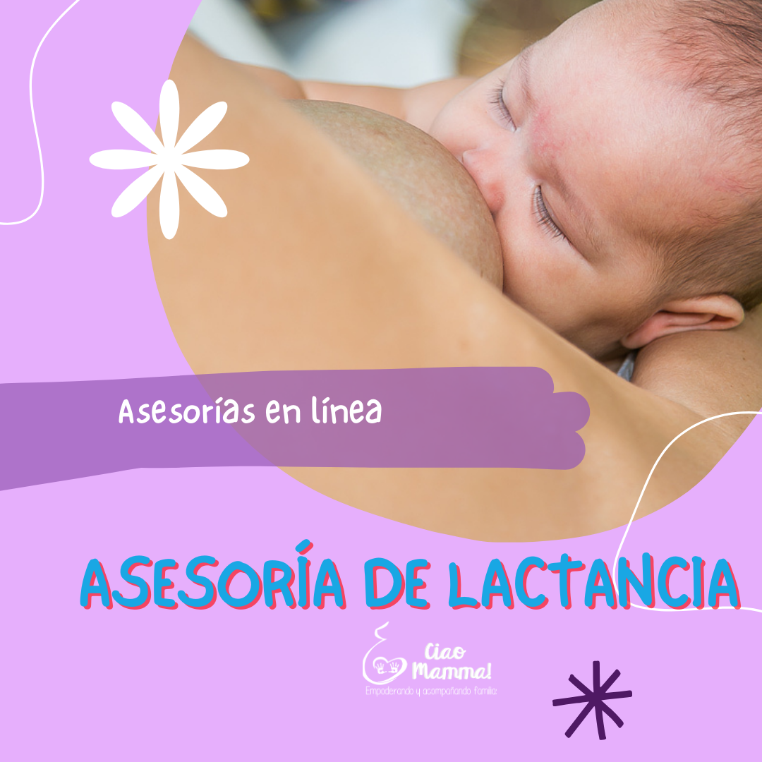 Asesoría de lactancia / Breastfeeding consultation