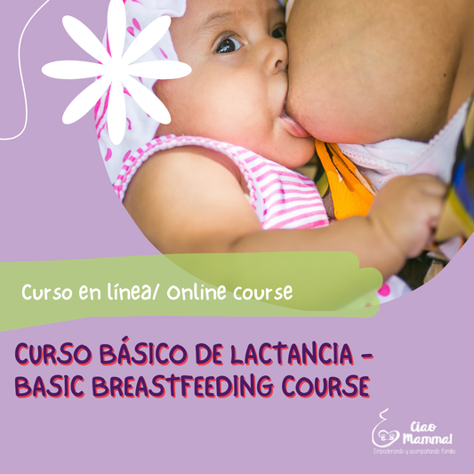 Taller básico de lactancia