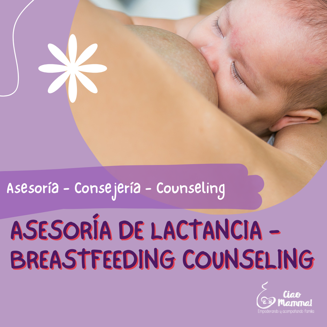 Asesoría de lactancia / Breastfeeding consultation